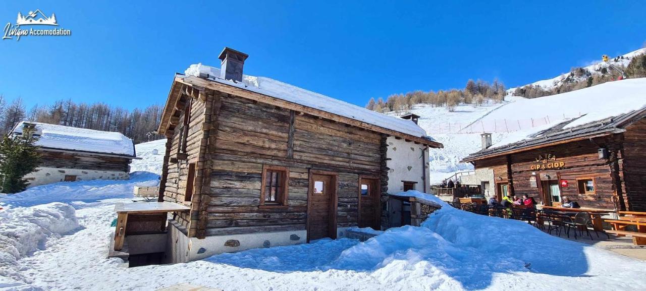 Mountain Chalet Scoiattolo By Livigno Accomodation Exterior photo