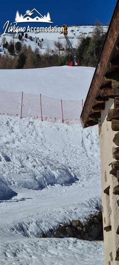 Mountain Chalet Scoiattolo By Livigno Accomodation Exterior photo